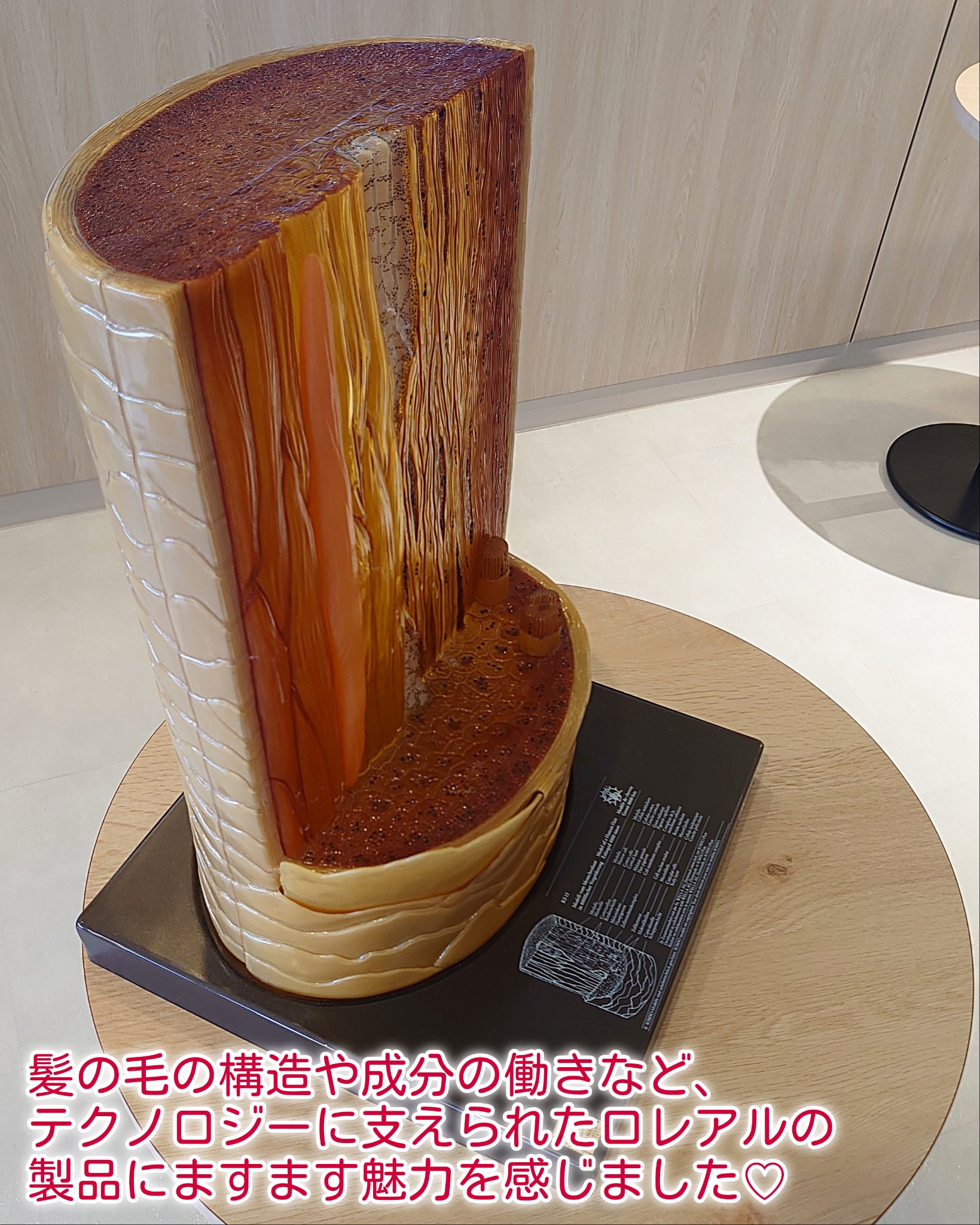 ロレアル パリ ボンド リペア シャンプー／コンディショナー/ロレアル パリ/市販シャンプーを使ったクチコミ（3枚目）