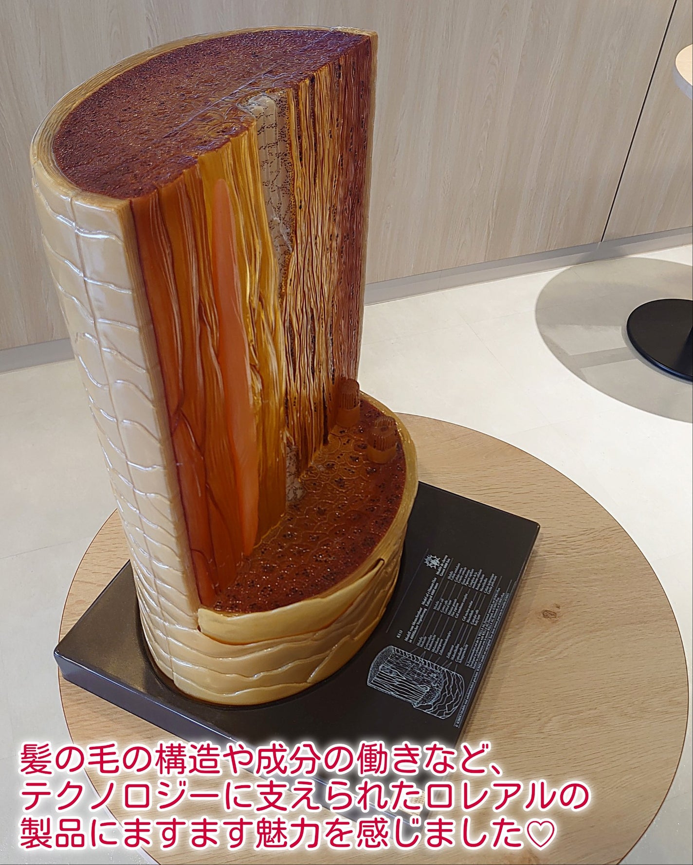 ロレアル パリ ボンド リペア シャンプー/コンディショナー/ロレアル パリ/市販シャンプーを使ったクチコミ(3枚目)