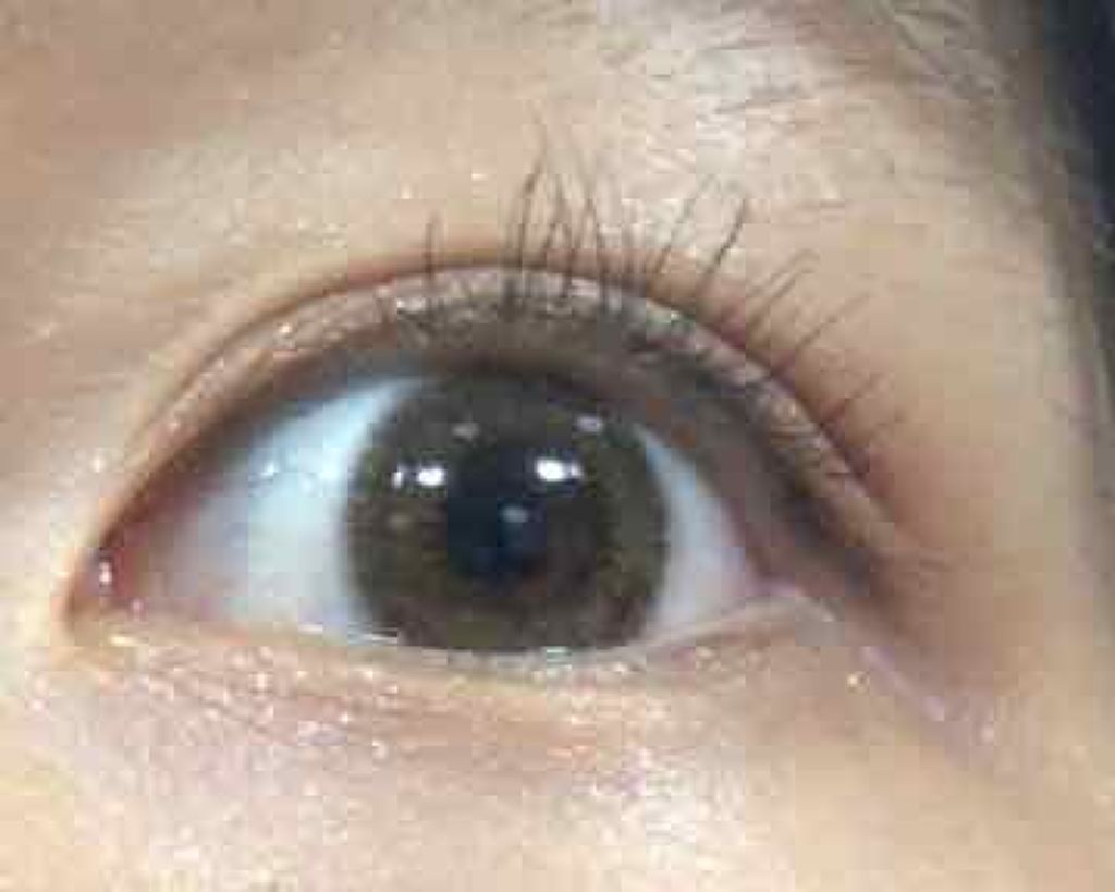 ラッシュマキシマイザーN/KATE/マスカラ下地を使ったクチコミ（2枚目）