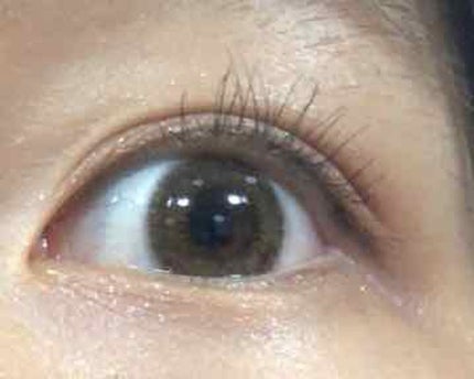 ラッシュマキシマイザーN/KATE/マスカラ下地を使ったクチコミ(2枚目)