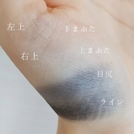 グロッシーリッチ アイズ N/Visée/アイシャドウパレットを使ったクチコミ(3枚目)