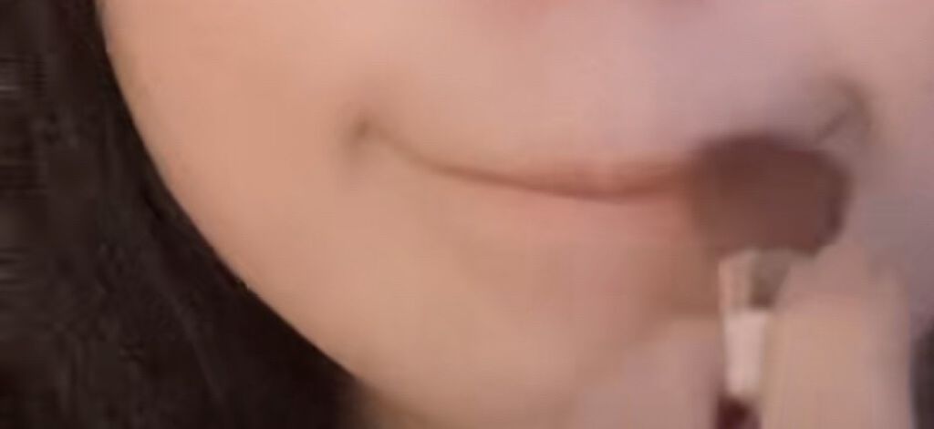 【旧品】パウダーチークス/キャンメイク/パウダーチークを使ったクチコミ（3枚目）