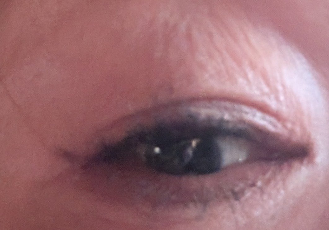 ラスティングリキッドライナー/キャンメイク/リキッドアイライナーを使ったクチコミ（2枚目）