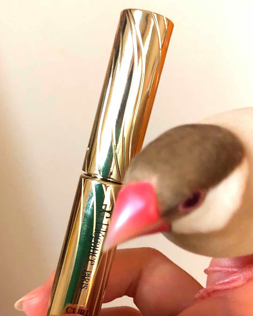 カールラッシュ フィクサー/Elégance/マスカラ下地を使ったクチコミ(1枚目)