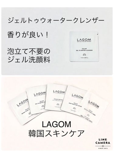 ラゴム ジェルトゥウォーター クレンザー(朝用洗顔)/LAGOM /洗顔フォームを使ったクチコミ（1枚目）