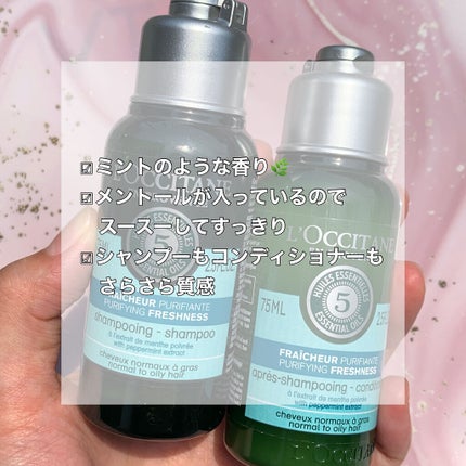 ファイブハーブス ピュアフレッシュネス シャンプー/コンディショナー/L'OCCITANE/市販シャンプーを使ったクチコミ(2枚目)