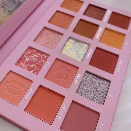 GO TRAVEL 15色アイシャドウパレット/FOCALLURE/アイシャドウパレットを使ったクチコミ(2枚目)