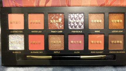 エクスプローラ12色 動物アイシャドウパレット/PERFECT DIARY/アイシャドウパレットを使ったクチコミ(2枚目)