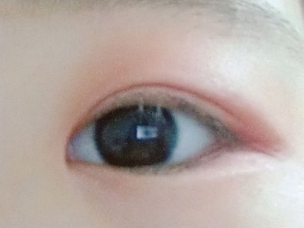 WHY NOT SPINNS 3色アイシャドウ/DAISO/アイシャドウパレットを使ったクチコミ(1枚目)