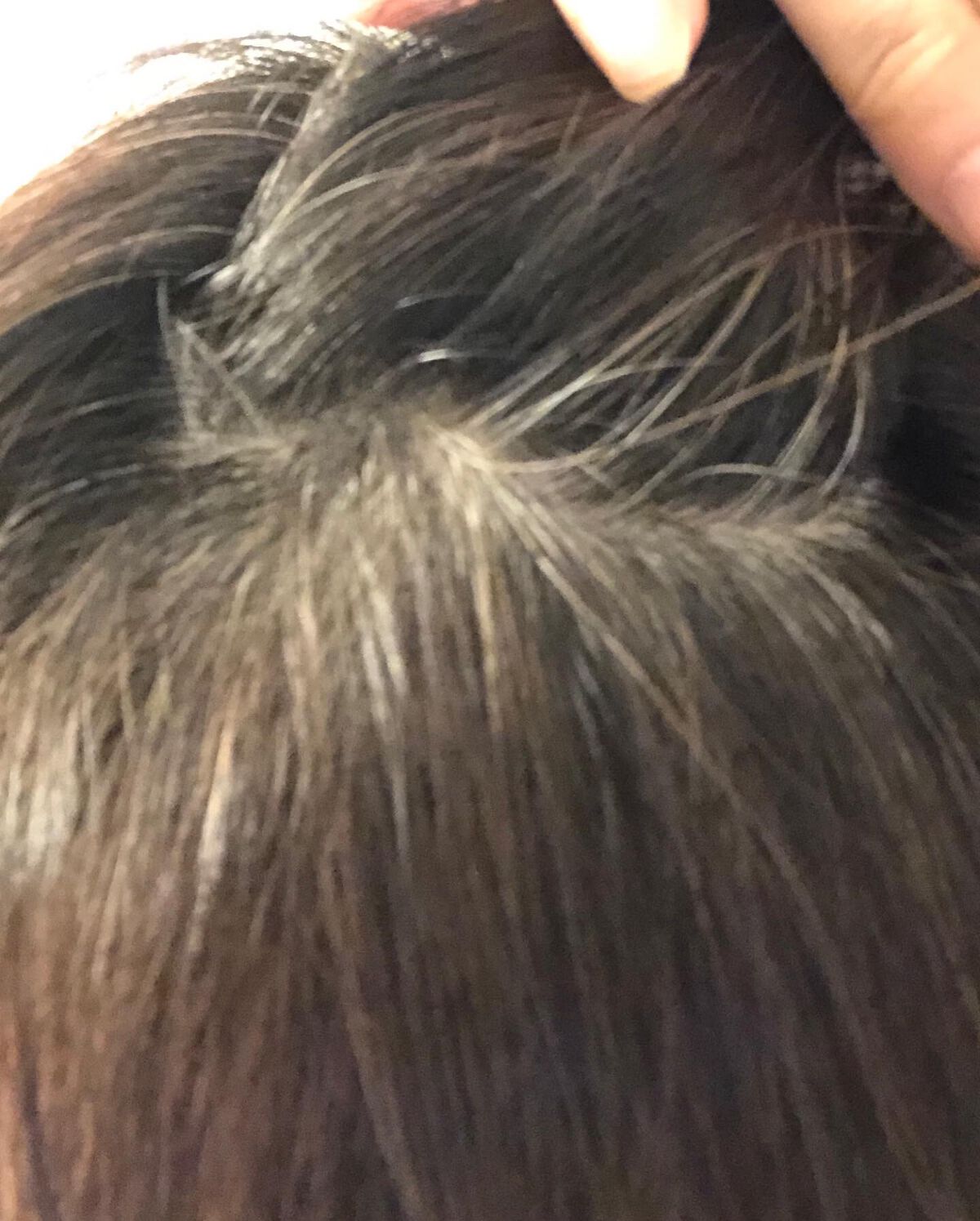 ROOT VANISH 白髪染めカラーシャンプー/ トリートメント/綺和美/市販シャンプーを使ったクチコミ(3枚目)