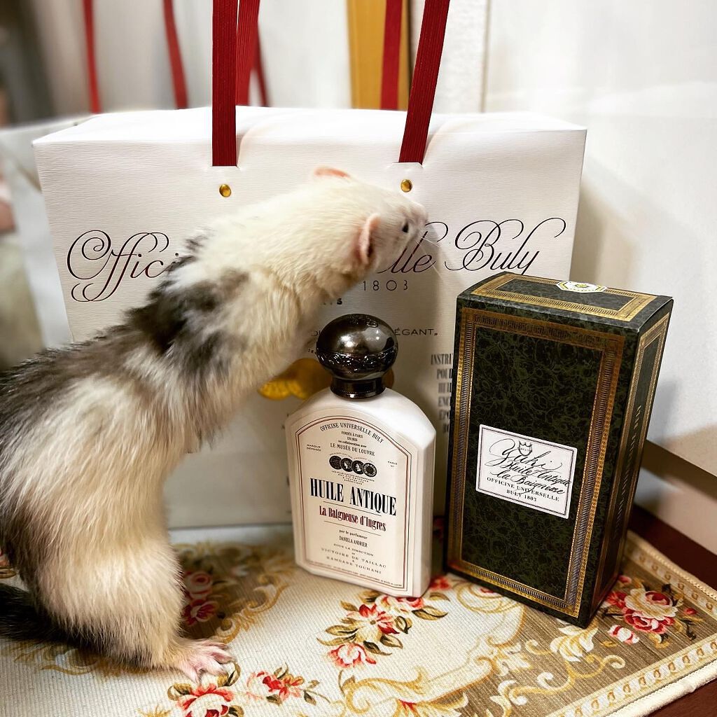 ユイル・アンティーク ローズ・ドゥ・ダマス/オフィシーヌ・ユニヴェルセル・ビュリー/ボディオイルを使ったクチコミ(3枚目)
