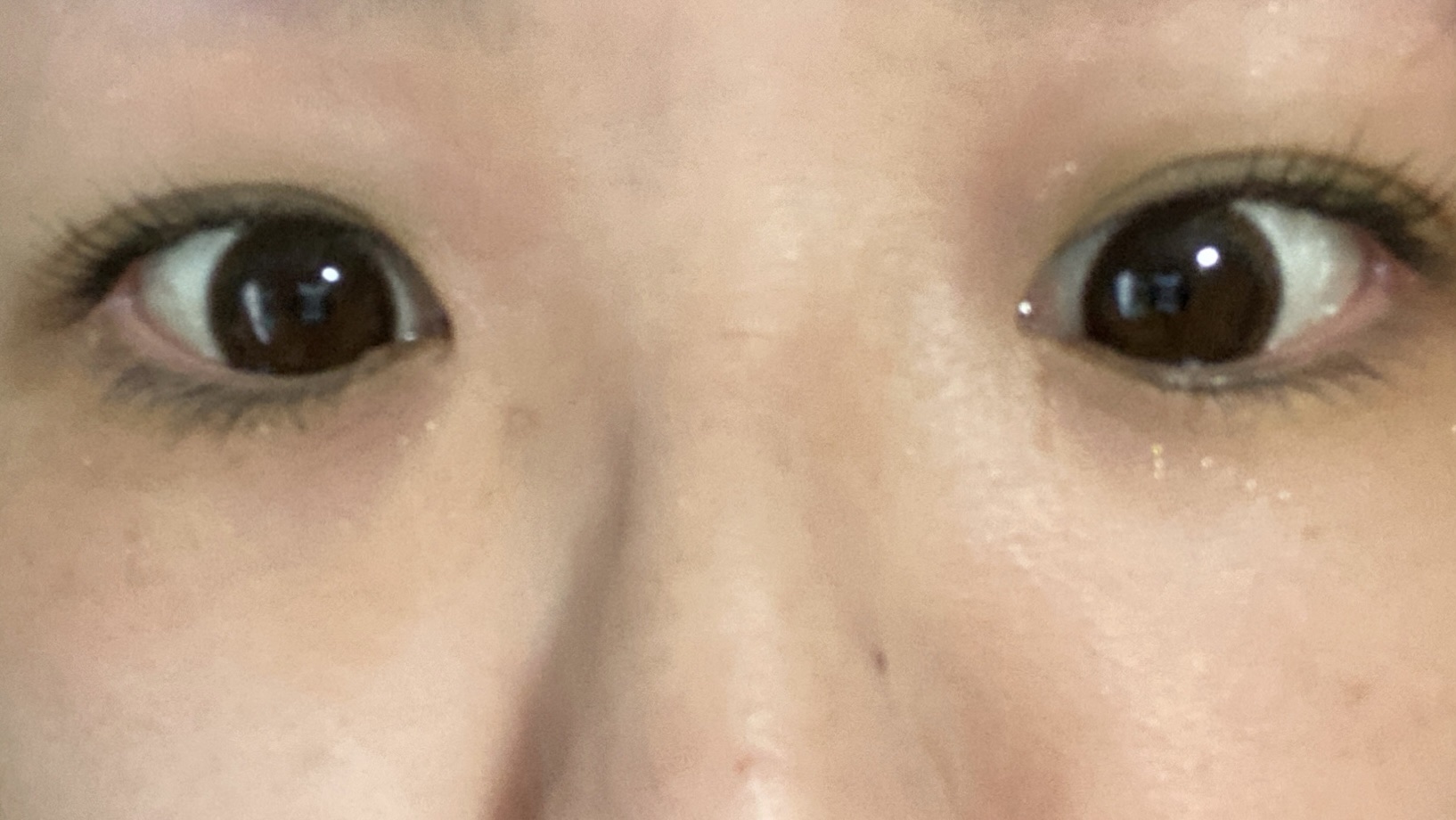 ネオサイトワンデー リングUV ダークブラウン/Aire/ワンデー（１DAY）カラコンを使ったクチコミ（2枚目）