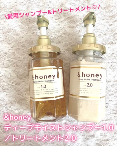 ディープモイスト シャンプー1.0／ヘアトリートメント2.0/&honey/シャンプー・コンディショナーを使ったクチコミ（1枚目）