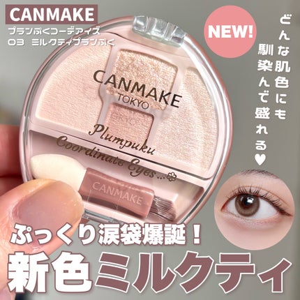 プランぷくコーデアイズ/キャンメイク/パウダーアイシャドウを使ったクチコミ(1枚目)