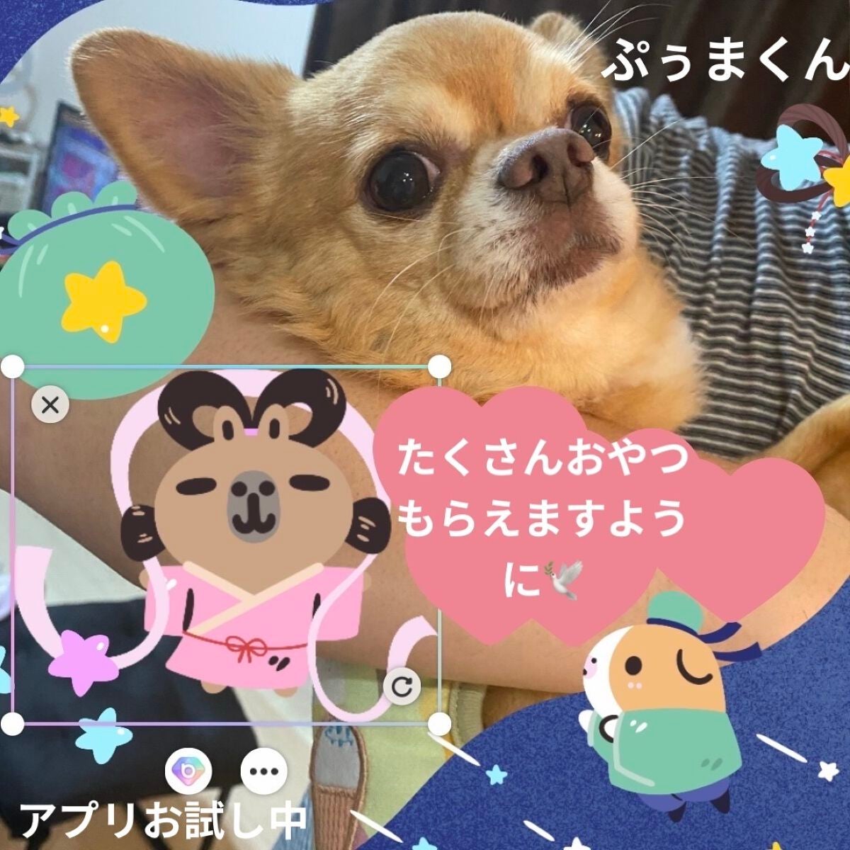 マルチグリッターカラー/ENBAN TOKYO/単色アイシャドウを使ったクチコミ(10枚目)