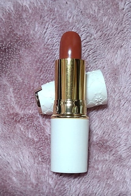 ラスティング リップカラーN/CEZANNE/口紅を使ったクチコミ(1枚目)