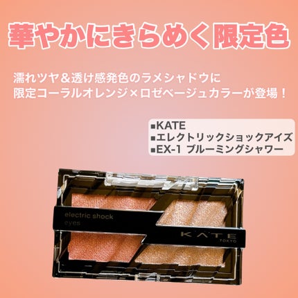 デザイニングブラウンアイズ/KATE/アイシャドウパレットを使ったクチコミ(6枚目)