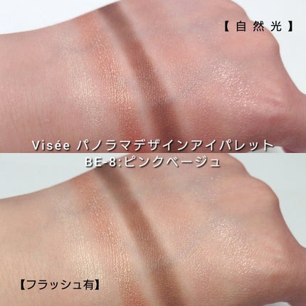 パノラマデザイン アイパレット/Visée/アイシャドウパレットを使ったクチコミ(6枚目)