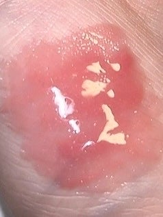 エッセンス リッププランパー/Visée/リッププランパーを使ったクチコミ(3枚目)