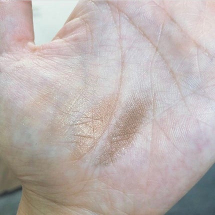 スキニーリッチシャドウ/excel/アイシャドウパレットを使ったクチコミ(2枚目)