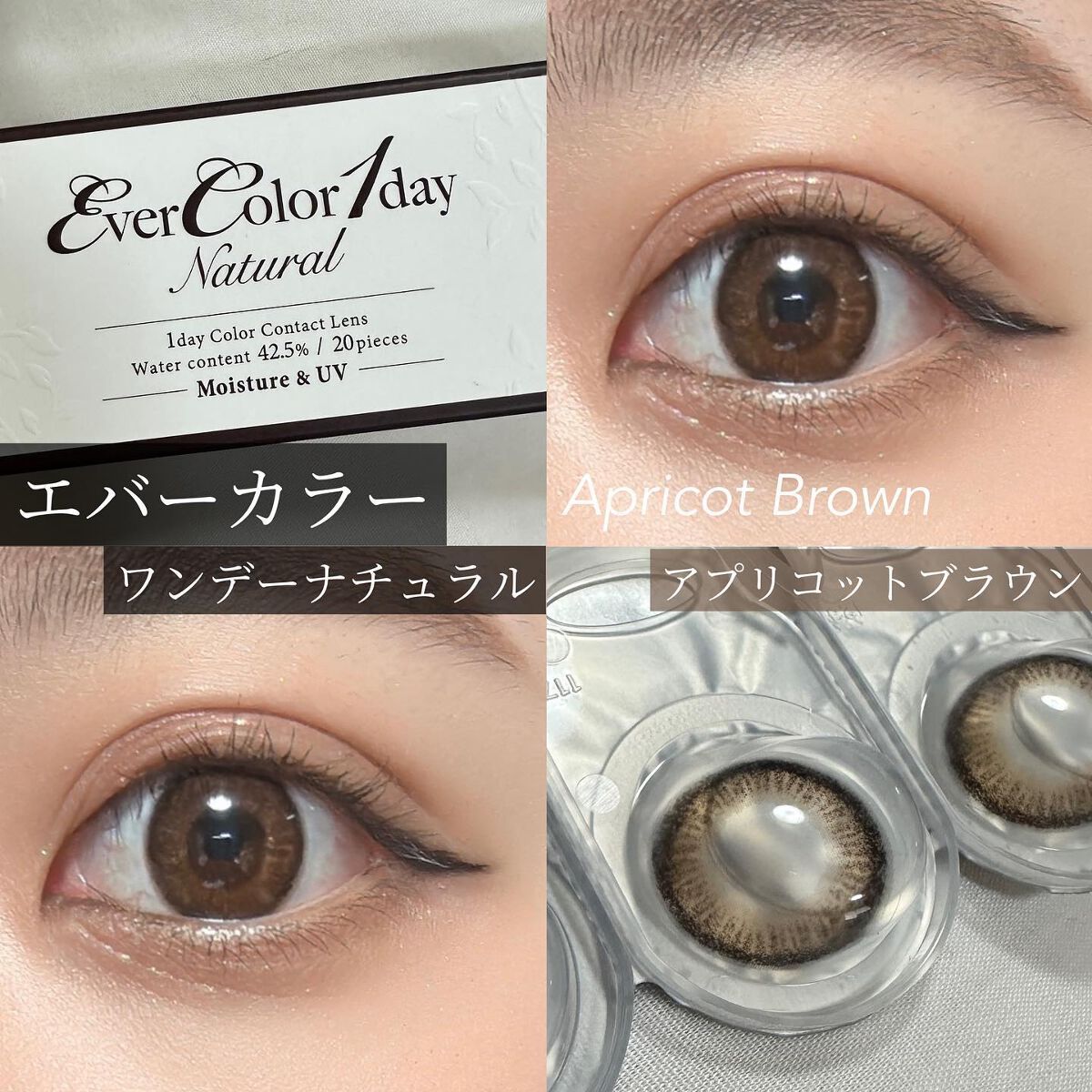 エバーカラーワンデー ナチュラル/エバーカラー/ワンデー(1DAY)カラコンを使ったクチコミ(1枚目)
