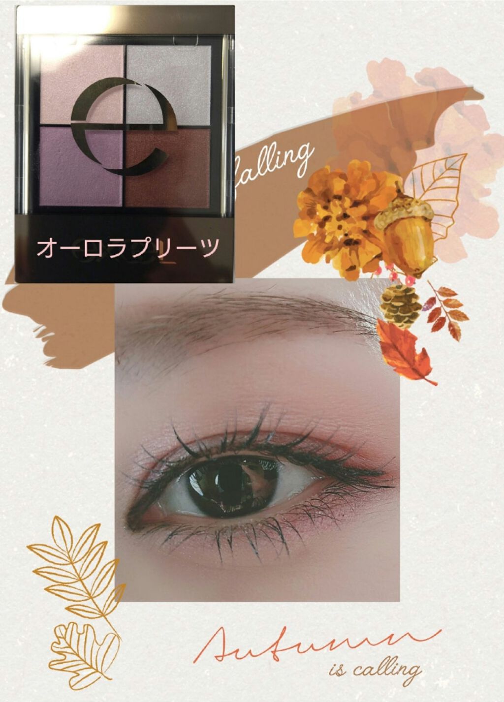 リアルクローズシャドウ/excel/アイシャドウパレットを使ったクチコミ(1枚目)