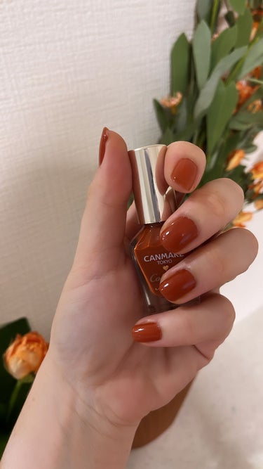 秋っぽネイル🌾🍇

ネイルを変えました💅✨

キャンメイクのネイルは塗りやすくて、乾くのも早いので、よく使ってます😽

秋っぽい色もたくさんあっておススメです💗

#ネイル_キャンメイク #秋ネイル  #今月の購入品 の画像 その0