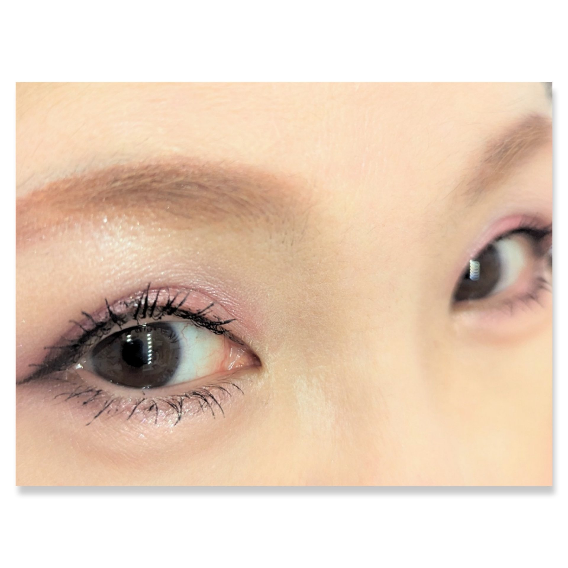 ワンダー エバー アイシャドウ 002　アイシーラベンダー/リンメル ロンドン/アイシャドウパレットを使ったクチコミ（2枚目）