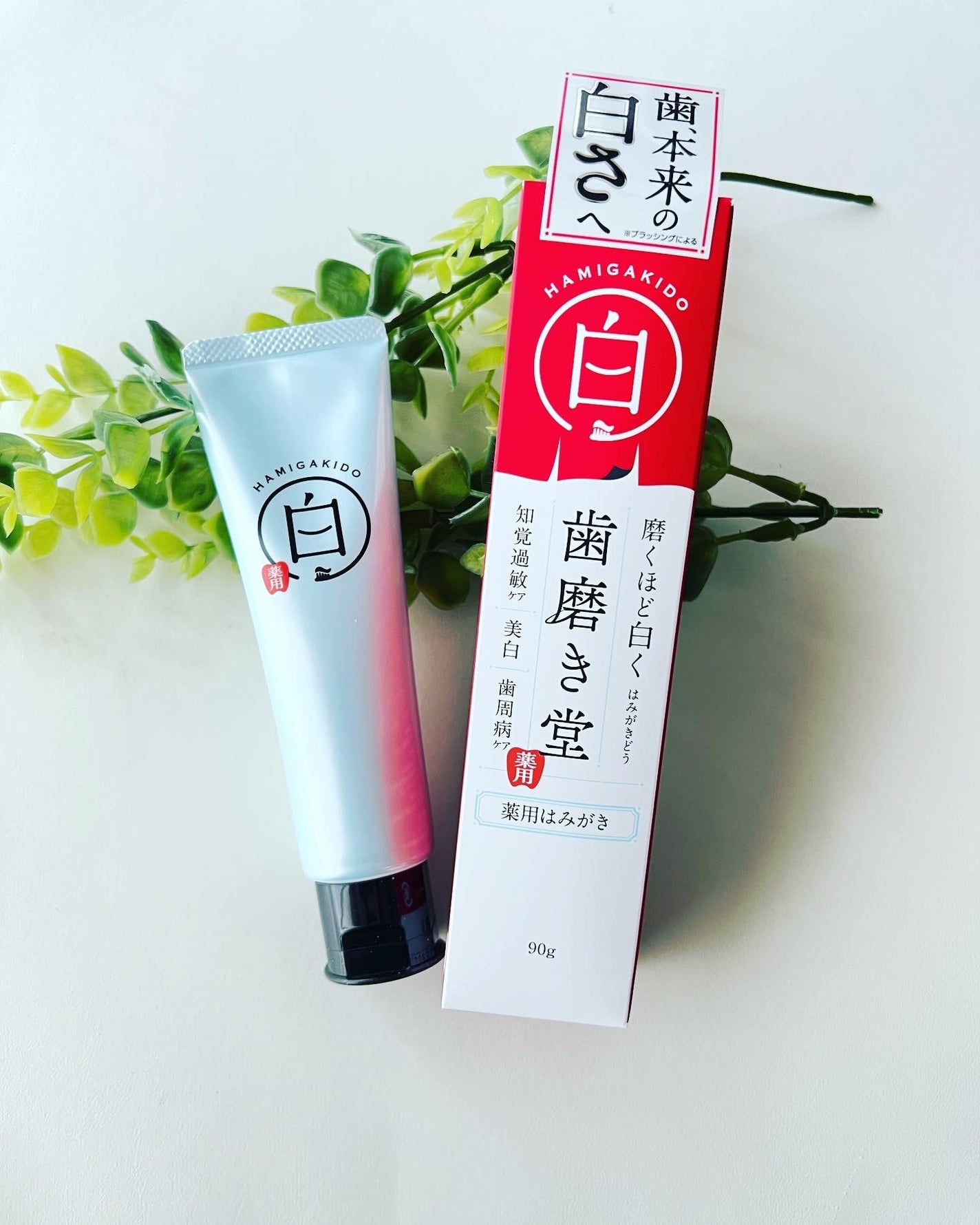 歯磨き堂 薬用ホワイトニングペースト/歯磨き堂/歯磨き粉を使ったクチコミ(1枚目)