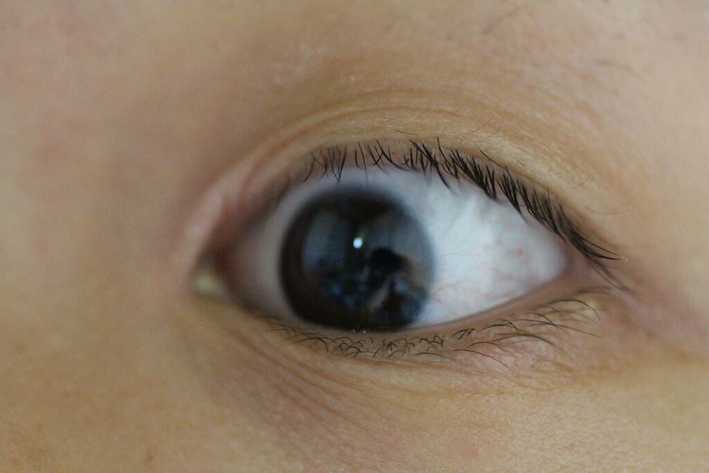 スカルプD ボーテ ピュアフリーアイラッシュセラム/アンファー(スカルプD)/まつげ美容液を使ったクチコミ(3枚目)