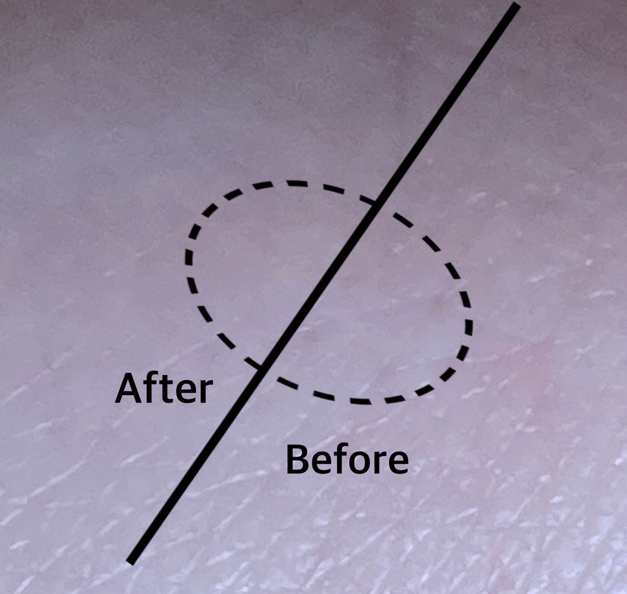 デリケートシルクベールアートプライマー/TFIT/化粧下地を使ったクチコミ（3枚目）