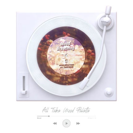 オール テイク ムード パレット(24AD)/PERIPERA/アイシャドウパレットを使ったクチコミ(2枚目)