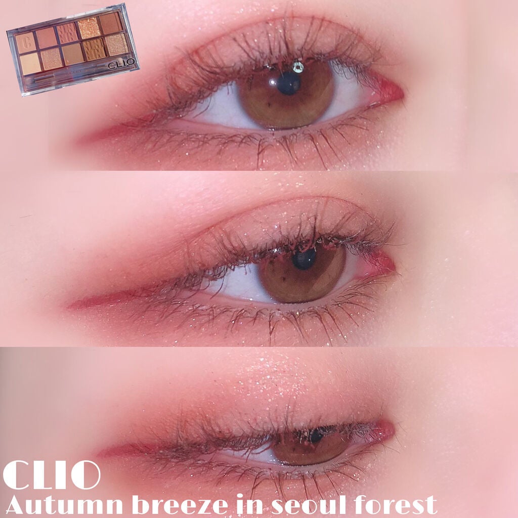 プロ アイ パレット/CLIO/アイシャドウパレットを使ったクチコミ(1枚目)