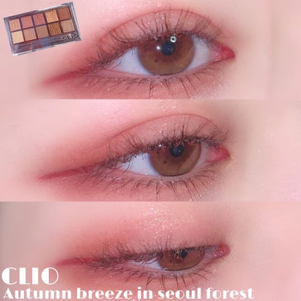 プロ アイ パレット/CLIO/アイシャドウパレットを使ったクチコミ(1枚目)
