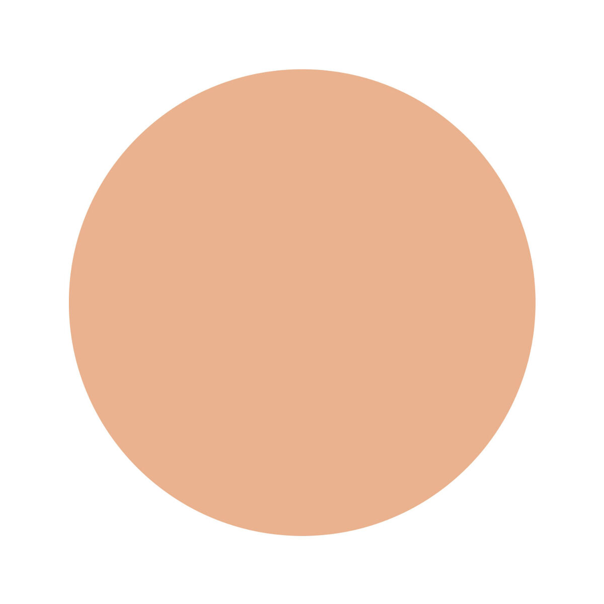 ミネラルエアーファンデーション ライトオークル