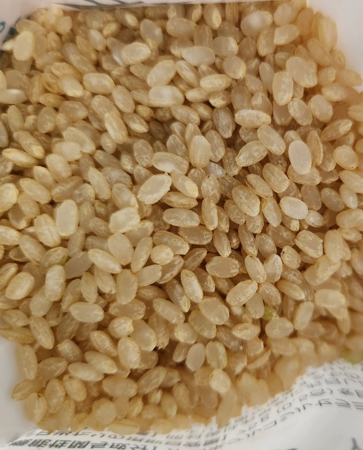 KoMeTa 澄 SUMU/ミツハシライス/食品を使ったクチコミ（2枚目）