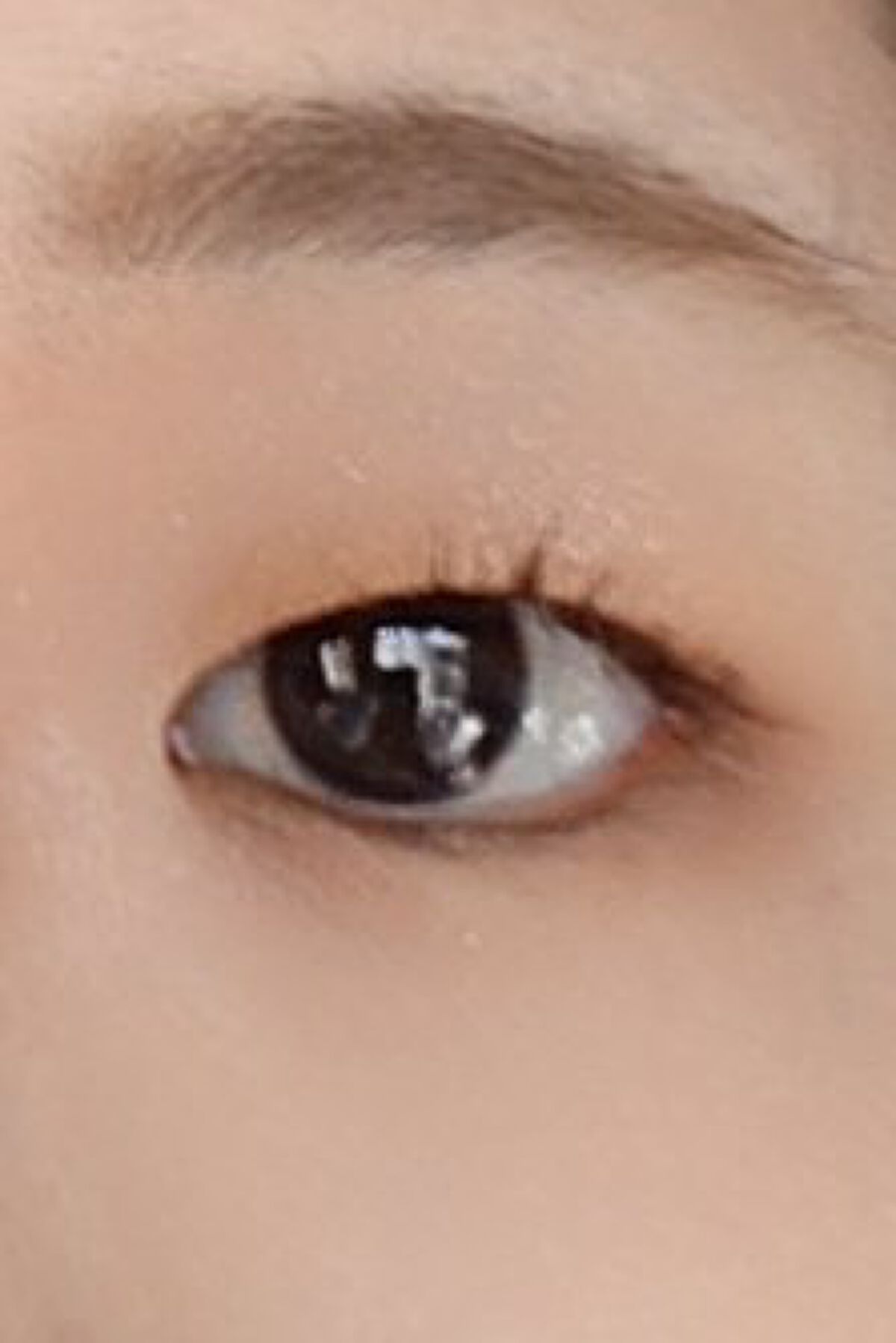 シャドーフラッシュ /MAJOLICA MAJORCA/アイシャドウパレットを使ったクチコミ（2枚目）