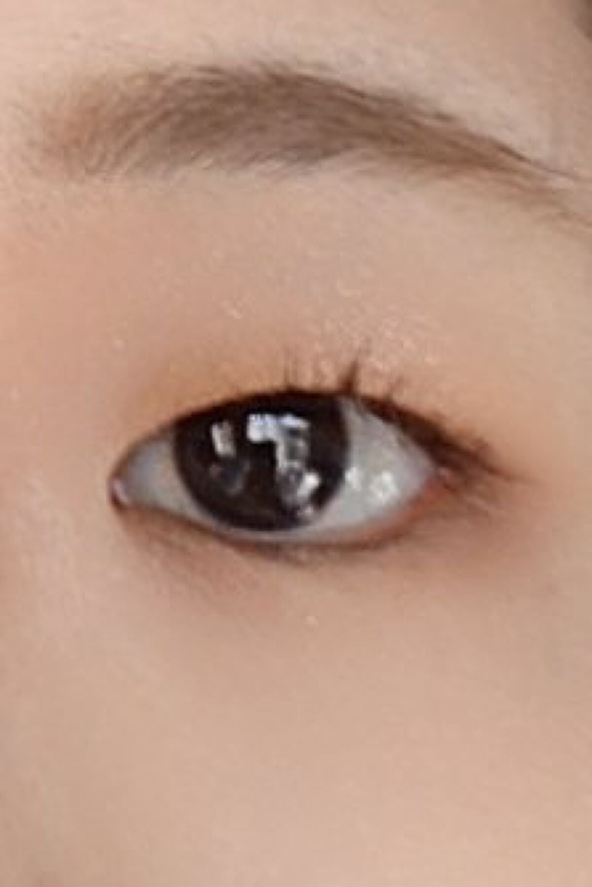 シャドーフラッシュ /MAJOLICA MAJORCA/アイシャドウパレットを使ったクチコミ(2枚目)