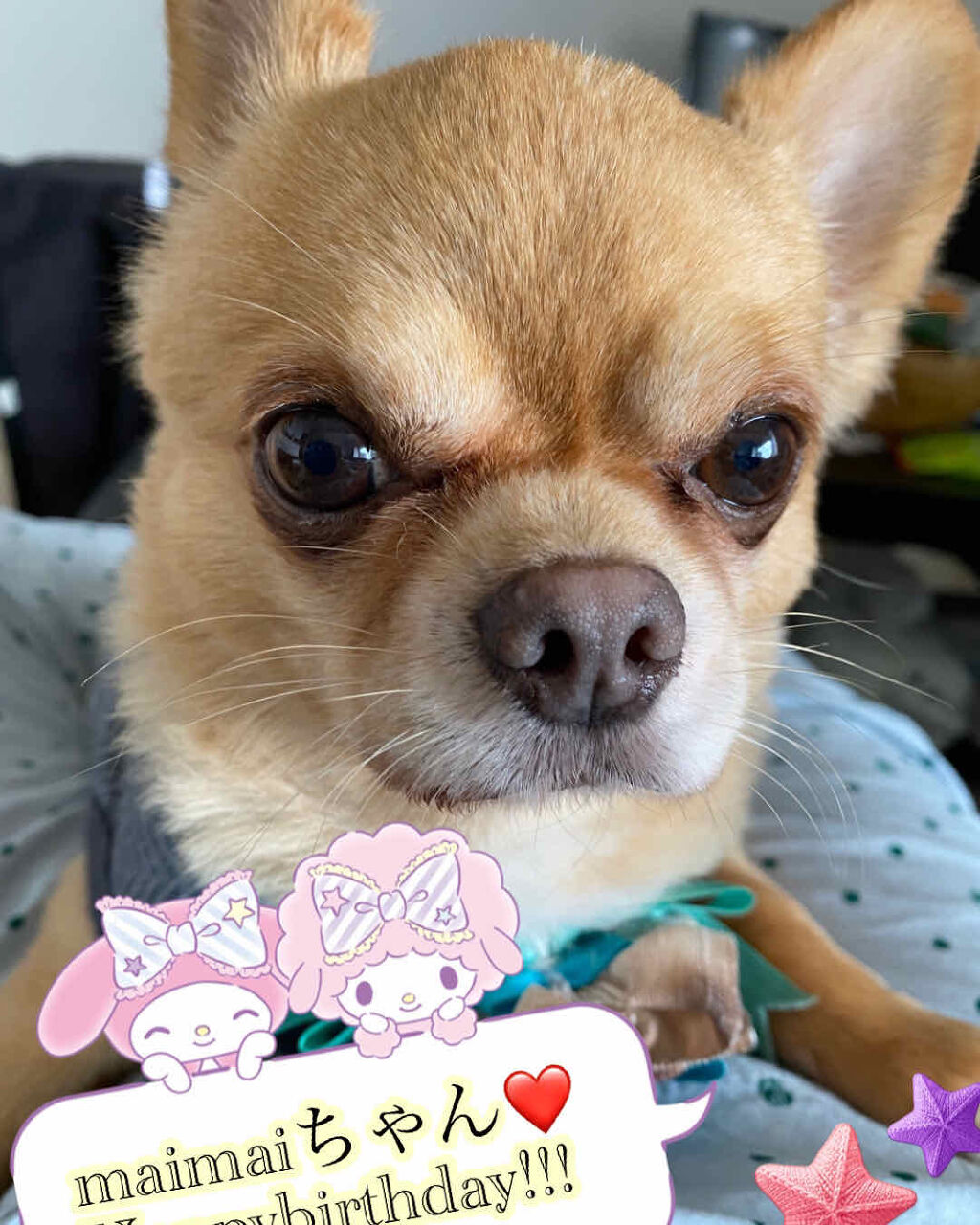 ボディジェリー ロージーズ/JILL STUART/ボディローションを使ったクチコミ（1枚目）