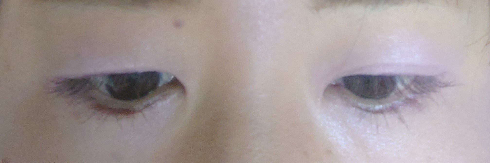 グロウフルールチークス（ブレンドタイプ）/キャンメイク/パウダーチークを使ったクチコミ（3枚目）