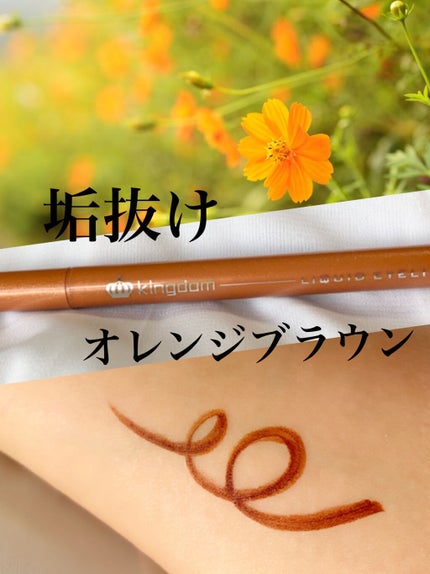 リキッドアイライナーWP /キングダム/リキッドアイライナーを使ったクチコミ(1枚目)