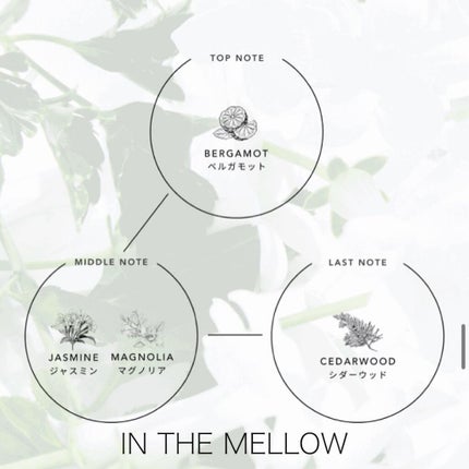 ミミチュール マイ グロウ オイル/クラブ/ブースター・導入液を使ったクチコミ(7枚目)