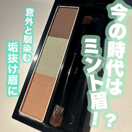 ヴィセ リシェ アイブロウパウダー/Visée/パウダーアイブロウを使ったクチコミ(1枚目)