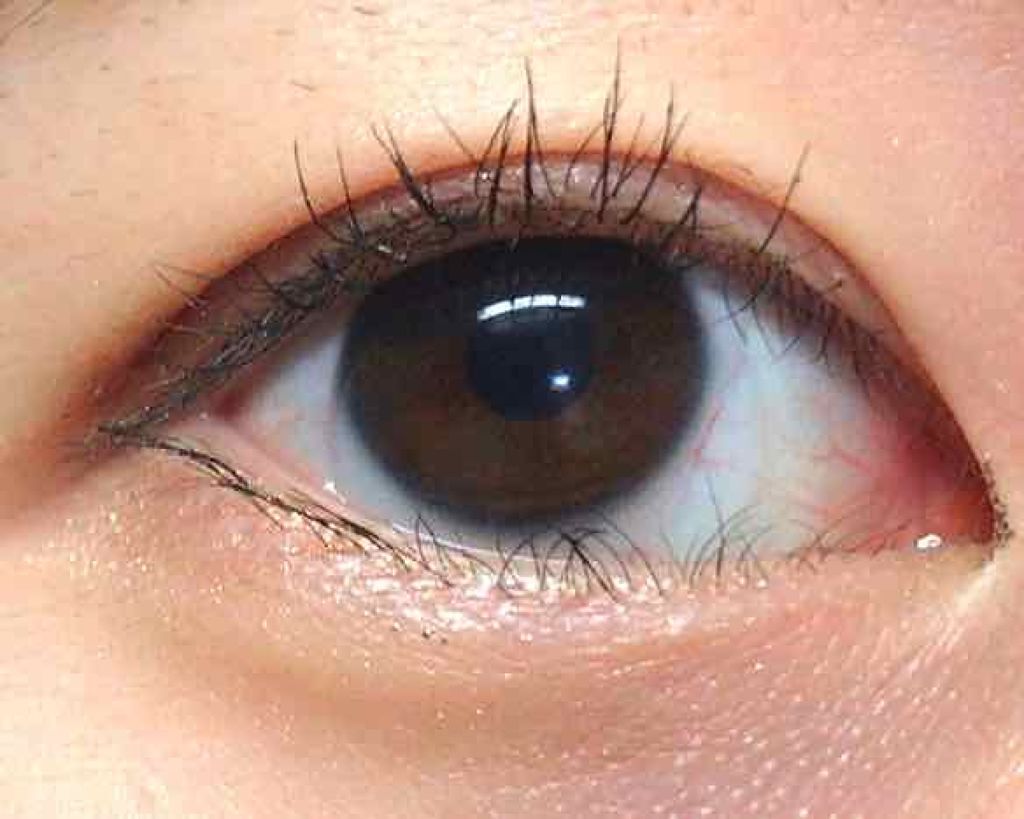 【旧品】パーフェクトスタイリストアイズ/キャンメイク/アイシャドウパレットを使ったクチコミ（1枚目）