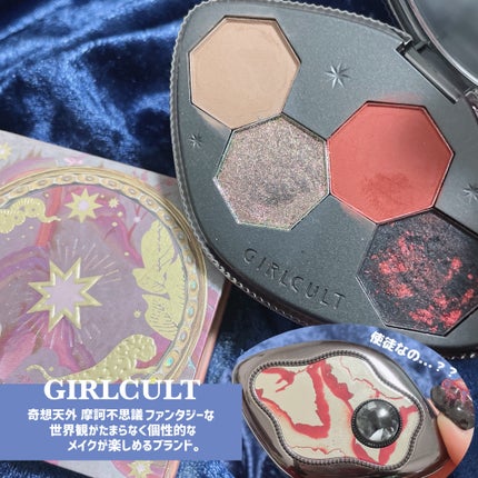 エクスプローラ12色 動物アイシャドウパレット/PERFECT DIARY/アイシャドウパレットを使ったクチコミ(10枚目)