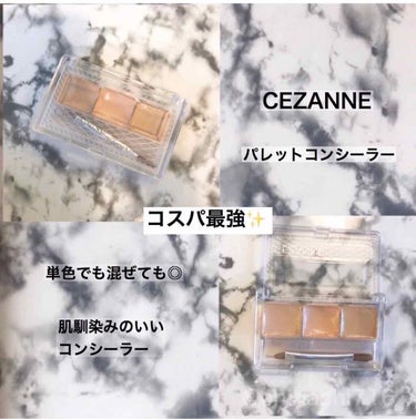 パレットコンシーラー/CEZANNE/パレットコンシーラーを使ったクチコミ（1枚目）