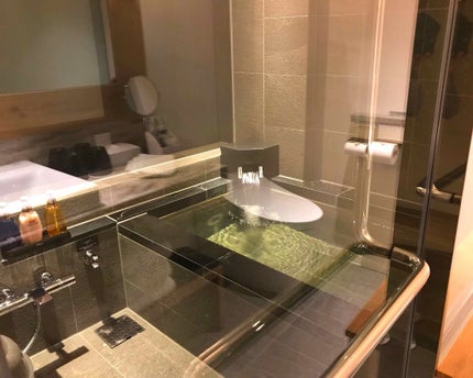 カラハリ シャンプーN/POLA/シャンプー・コンディショナーを使ったクチコミ(2枚目)