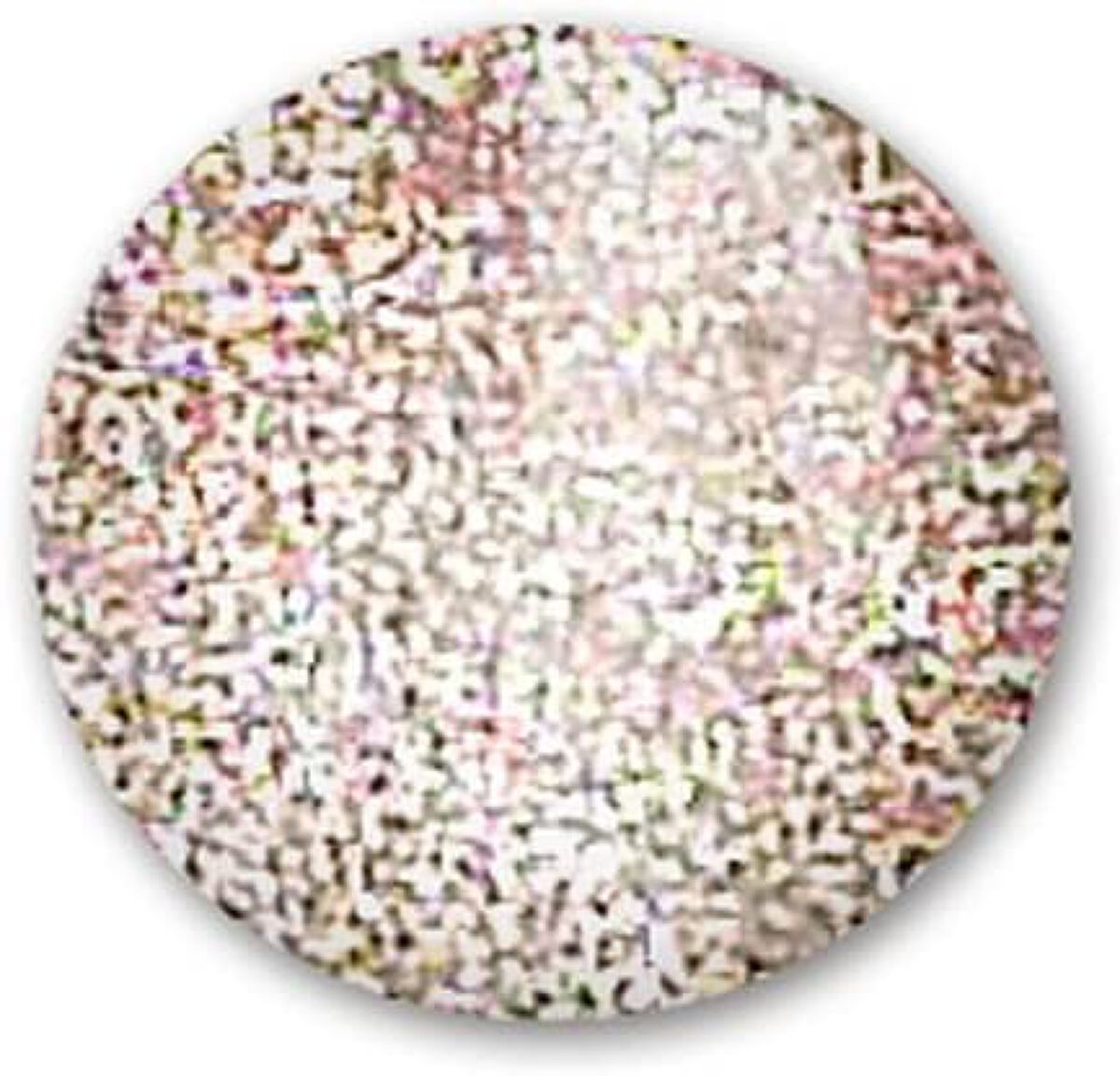 ジェルネイル 26.ホワイトゴールド