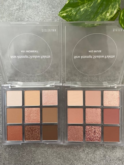 ニューアテンプトシャドウパレット/SISTER ANN/アイシャドウパレットを使ったクチコミ(5枚目)