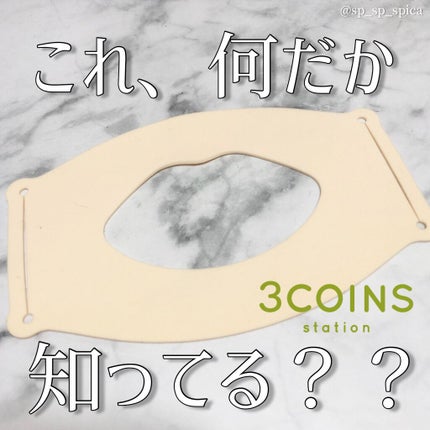 マスク インナーパッド/3COINS/マスクを使ったクチコミ(1枚目)